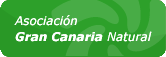 Gran Canaria Natural