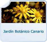 Jardín Botánico Viera y Clavijo