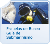 Submarinismo