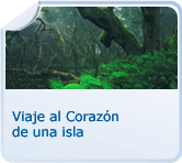 Fiesta en el Corazón de una Isla