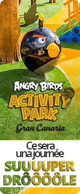 Angry Birds Activity Park