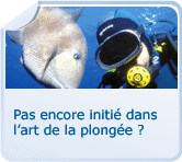 Pas encore initié dans l'art de la plongée ?