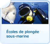 Écoles de plongée sous-marine