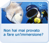 Non hai mai provato a fare un'immersione?