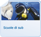 Scuole di sub