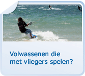 Volwassenen die met vliegers spelen?