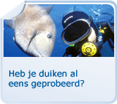 Duiksport