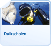 Duikscholen