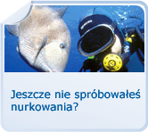 I jeszcze nie spróbowałeś nurkowanie