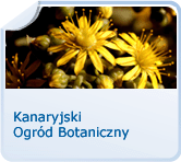 Kanaryjskie Ogród Botaniczny