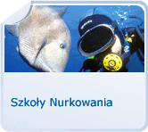 Szkoły Nurkowania