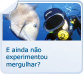 Mergulho