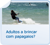 Adultos brincando com papagaios?