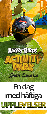 Angry Birds Activity Park