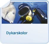 Dykarskolor