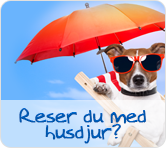 Reser du med husdjur?