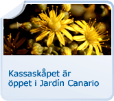 Kassaskåpet är öppet i Jardín Canario