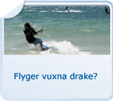 Flyger vuxna drake?