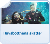 Skatter på havets botten