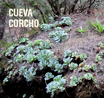 Cueva Corcho