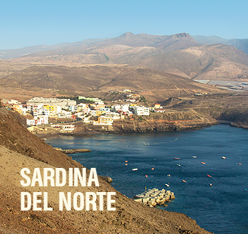 Sardina del Norte