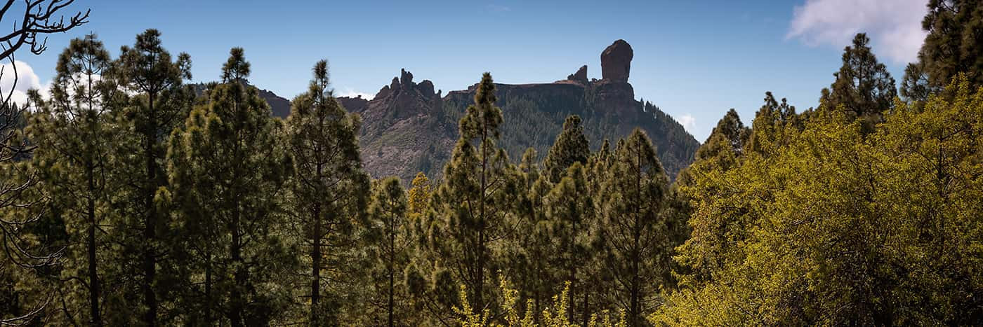 Roque Nublo