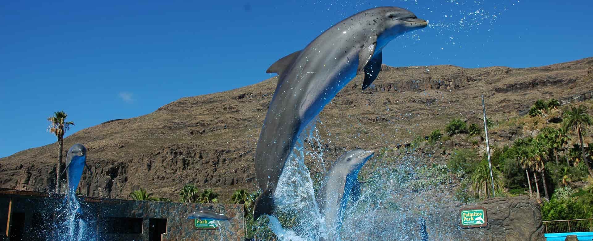 Acuario Poema del Mar