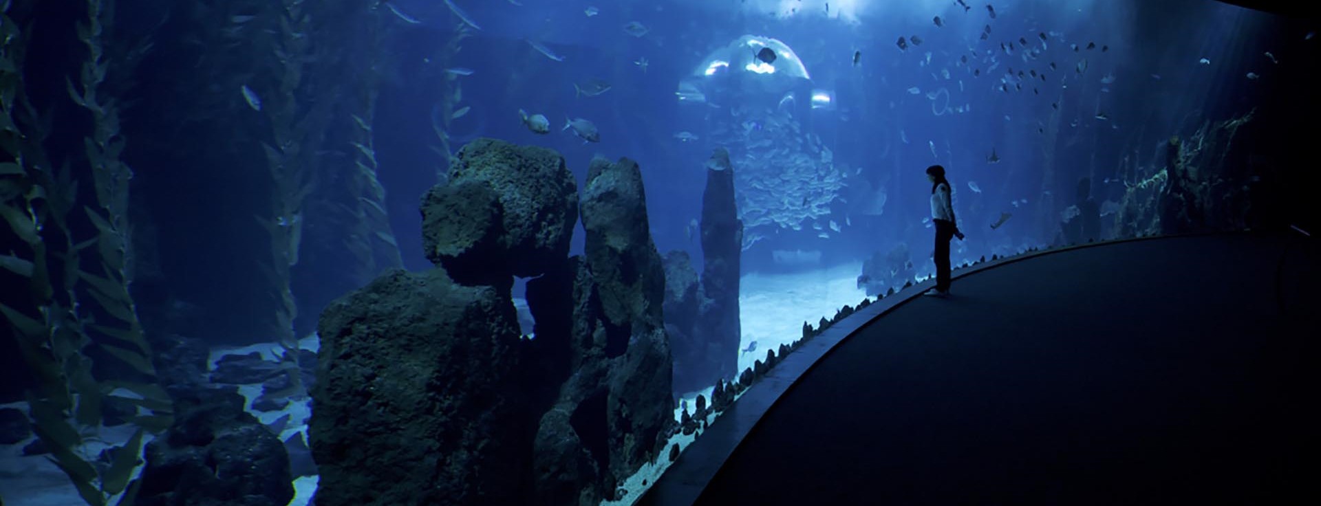 Acuario Poema del Mar