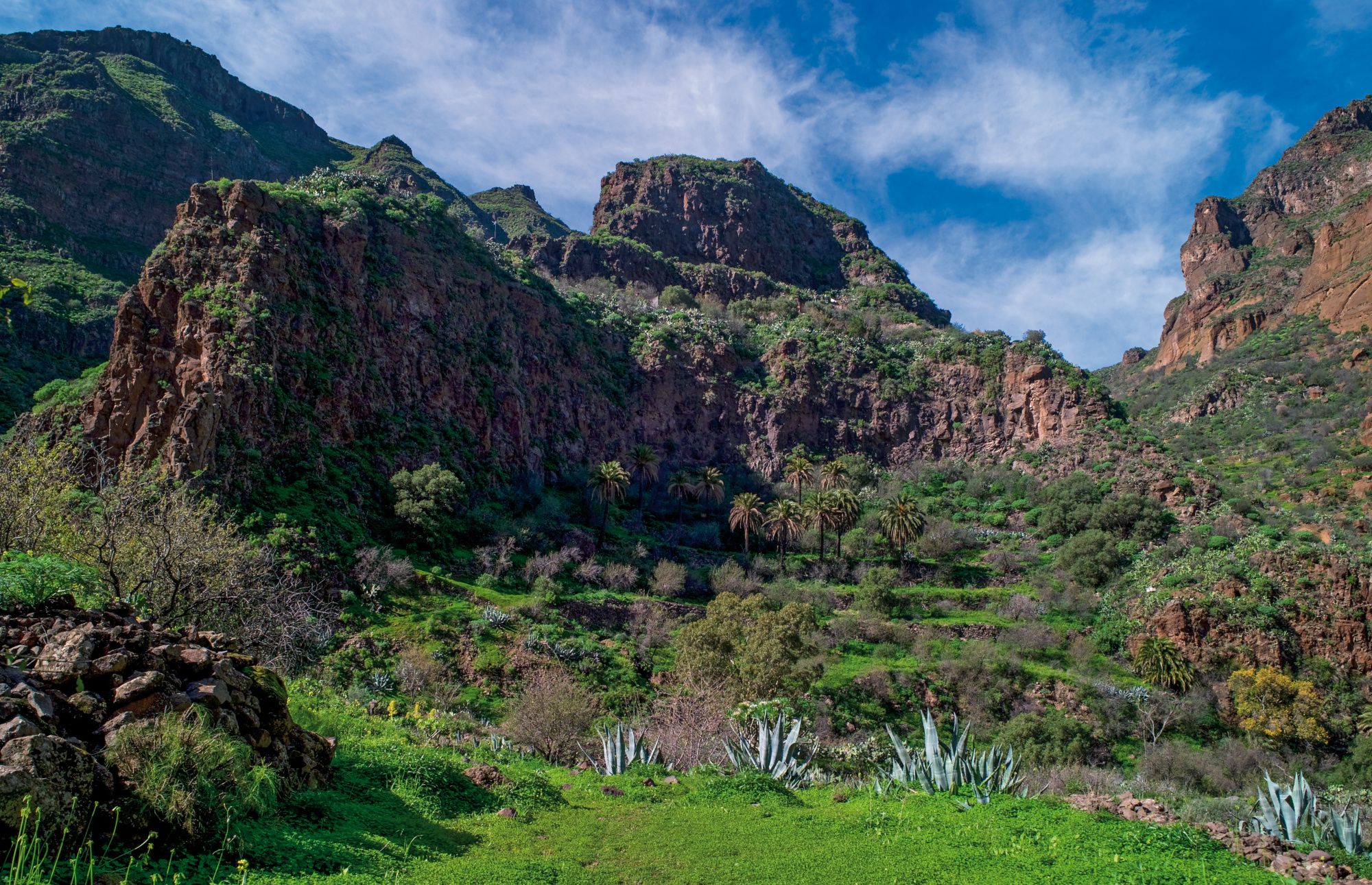 Wąwóz Guayadeque (Agüimes i Ingenio)