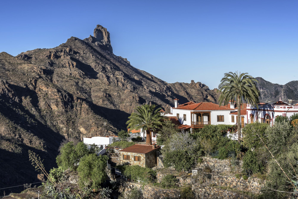 Vista del pueblo de Tejeda con casas acompañadas de palmeras y la montaña al fondo