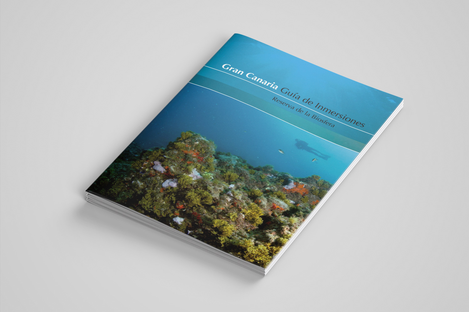 Gran Canaria Dive Guide