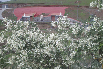 Cueva Hoya del Monte, Cueva Rosa, Cueva Verde