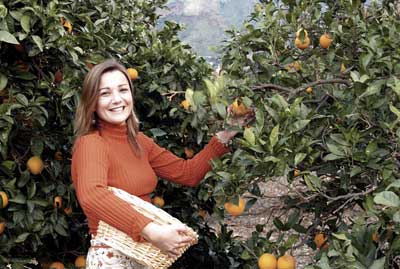 Hotel Rural Finca Las Longueras