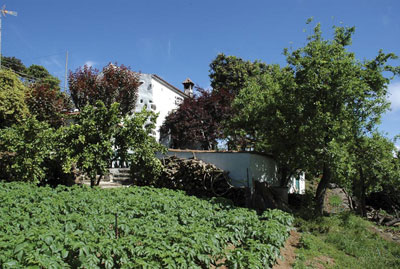 Casa Rural Las Calas de Valleseco