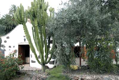 El Palmeral del Valle