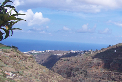 Montaña Doramas (Finca Strelitzia)