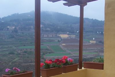 Montaña Doramas (Finca Strelitzia)