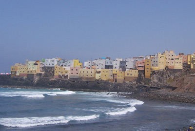 Montaña Doramas (Finca Strelitzia)