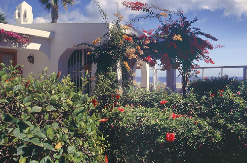 Bungalows Sahara Beach Club