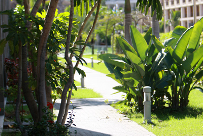 Hotel Paradise Costa Taurito