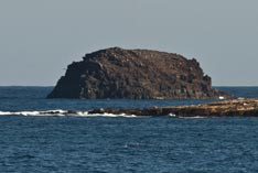 Roque de Gando