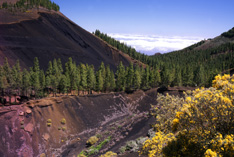 Montañón Negro