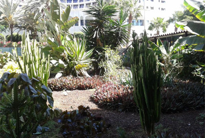 Apartamentos Monterrey