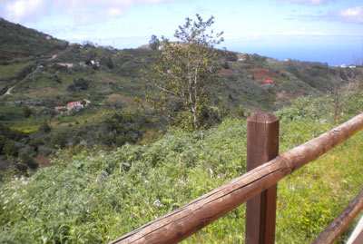 Naturacanaria - Las Dalias