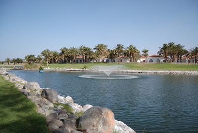 Suite Hotel Jardín Dorado