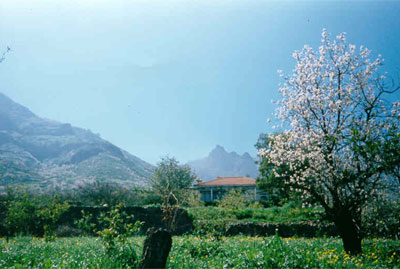 Casa El Pedregal