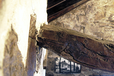 Pepita de las Flores