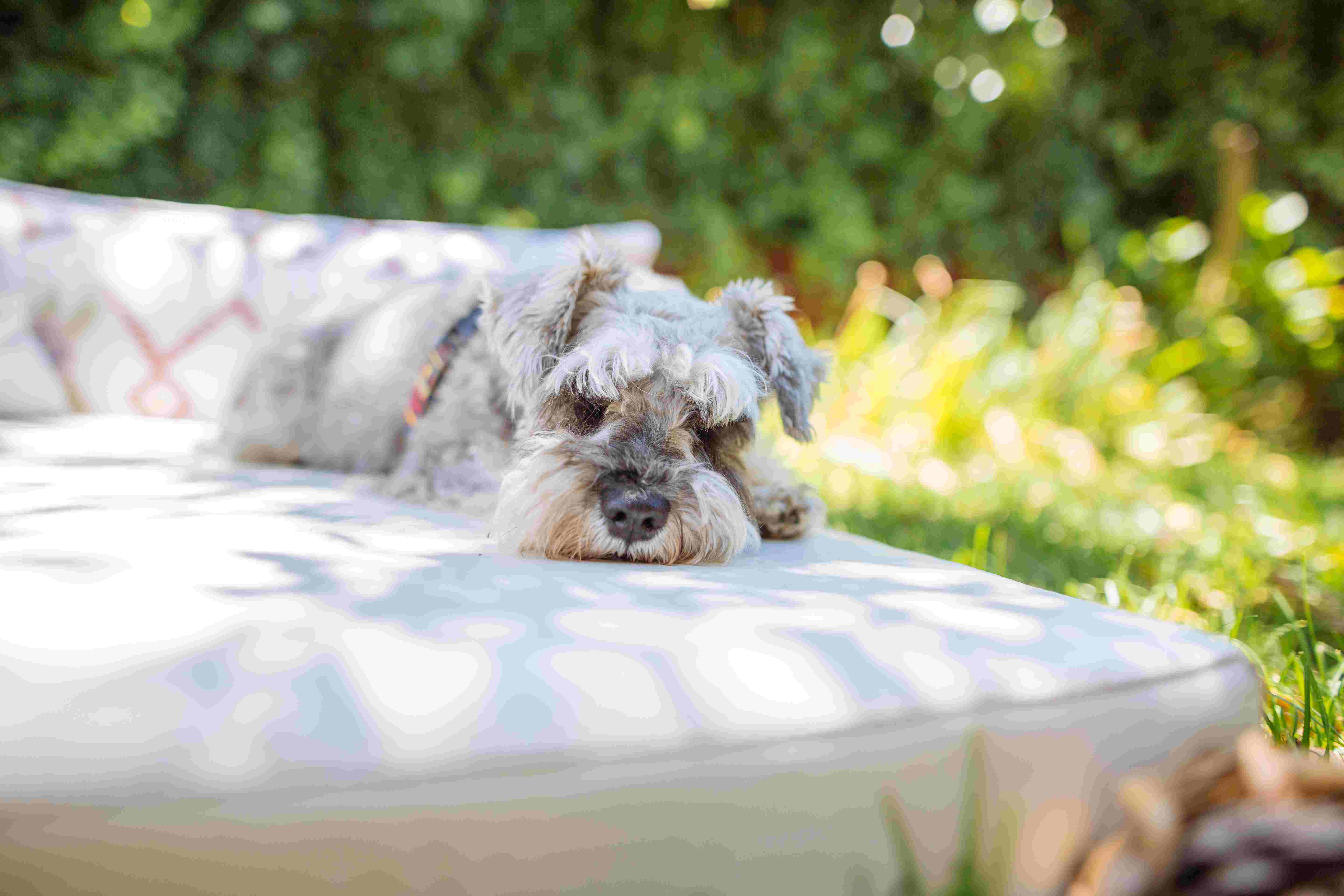 Hotel Rural Las Calas