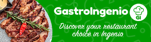 GastroIngenio