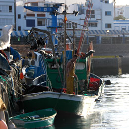 Puerto de Las Nieves